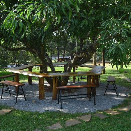 Scenic Acres Holiday Home Chikmagalūr エクステリア 写真